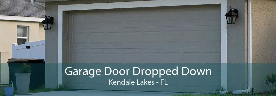 Garage Door Dropped Down Kendale Lakes - FL