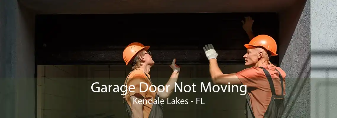 Garage Door Not Moving Kendale Lakes - FL