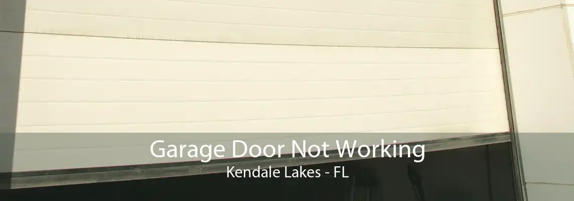 Garage Door Not Working Kendale Lakes - FL