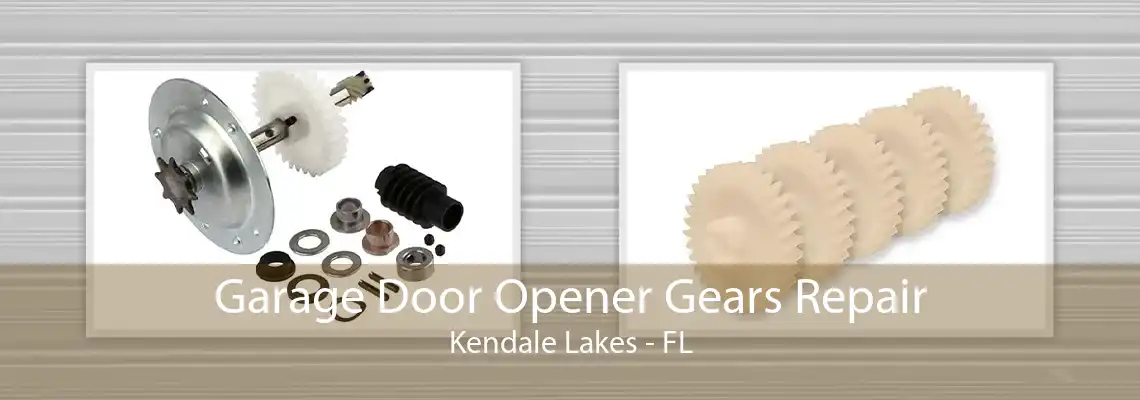 Garage Door Opener Gears Repair Kendale Lakes - FL