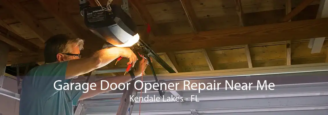 Garage Door Opener Repair Near Me Kendale Lakes - FL