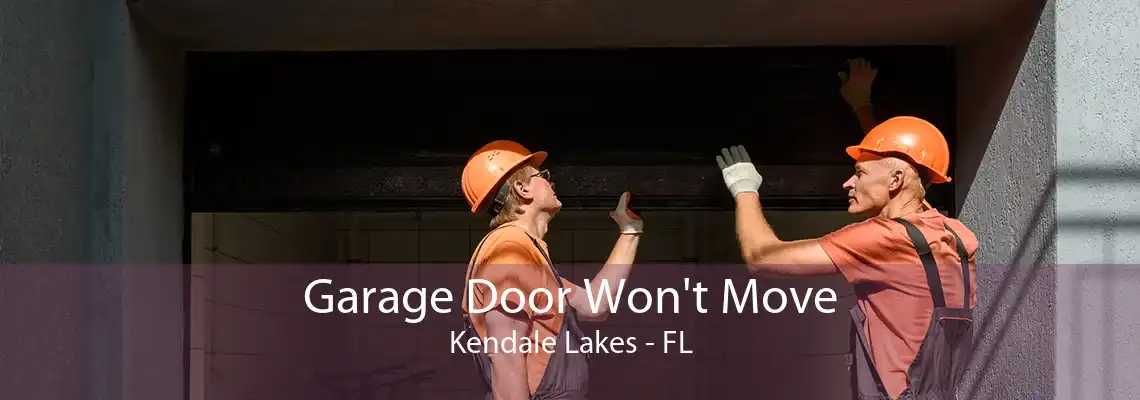 Garage Door Won't Move Kendale Lakes - FL